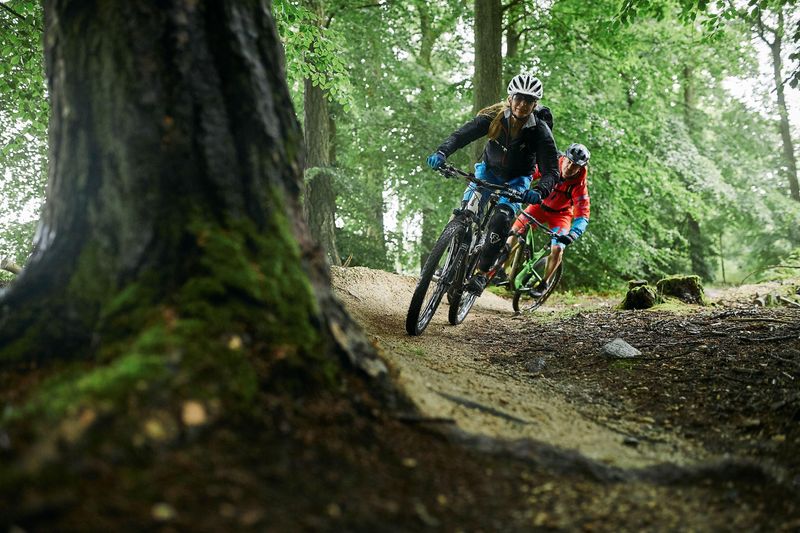 Flowtrail Stromberg/Schindeldorf npg7gn