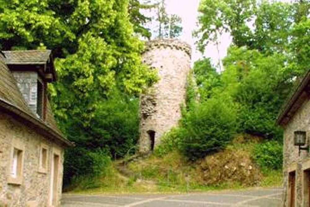 Burg Dhronecken p1vun3