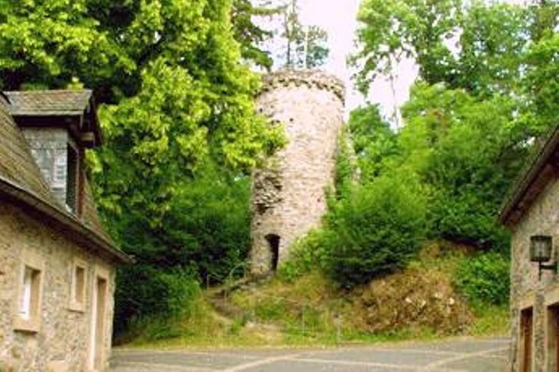 pois/burg-dhronecken-2dbb