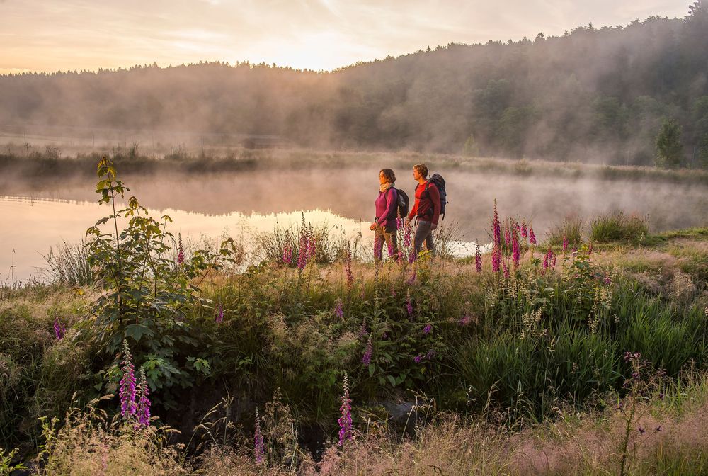 Nationalpark Traumschleife Trauntal Höhenweg p1w6e1