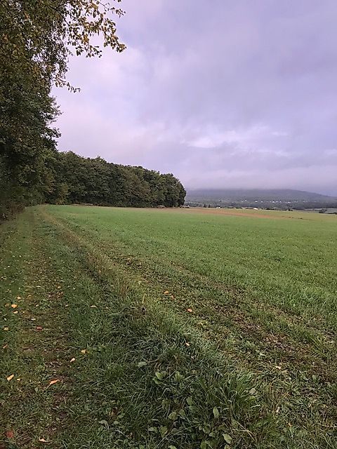 Argenschwanger Rosenburgweg nki9tr