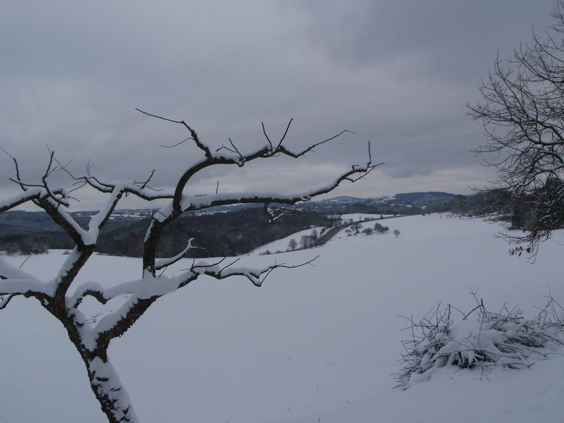 Rund um Oberbrombach njlpb2