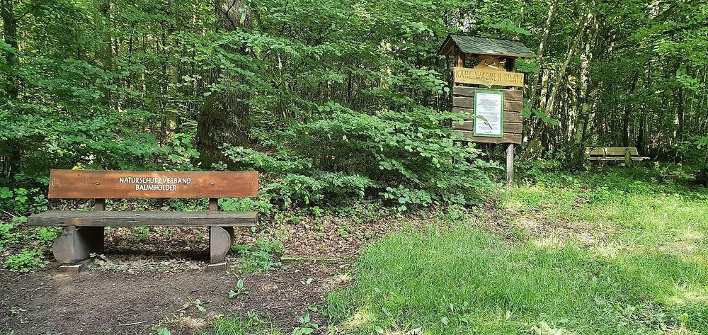 Waldlehrpfad Gärtel im Stadtwald Baumholder ngswu0