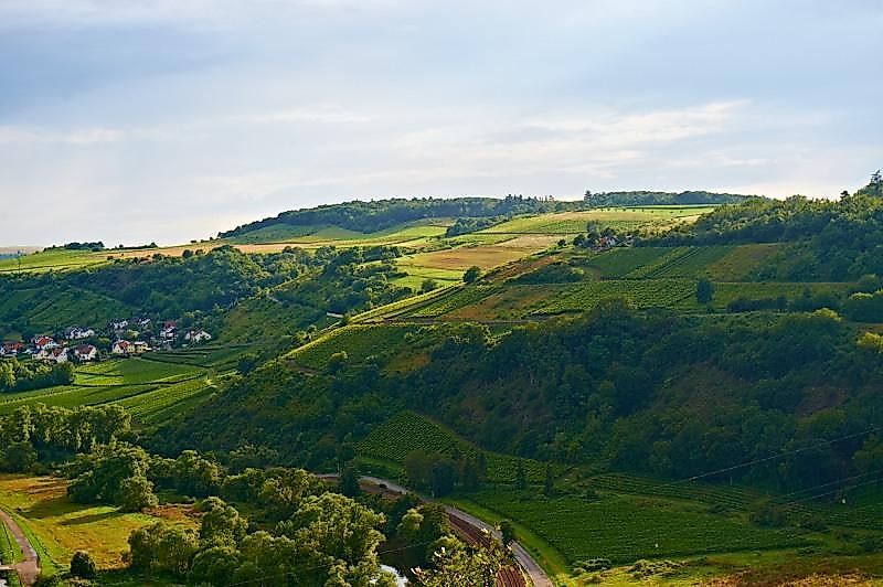 Weingut und Gästehaus Franzmann nfe069