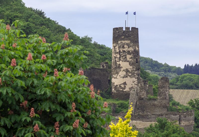 pois/ruine-fuerstenberg-7e67