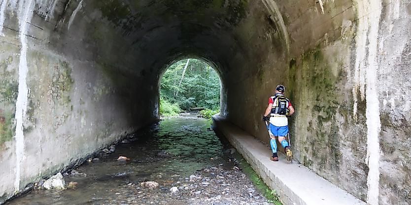 HuBuT LongTrail 47 km ndlrnd