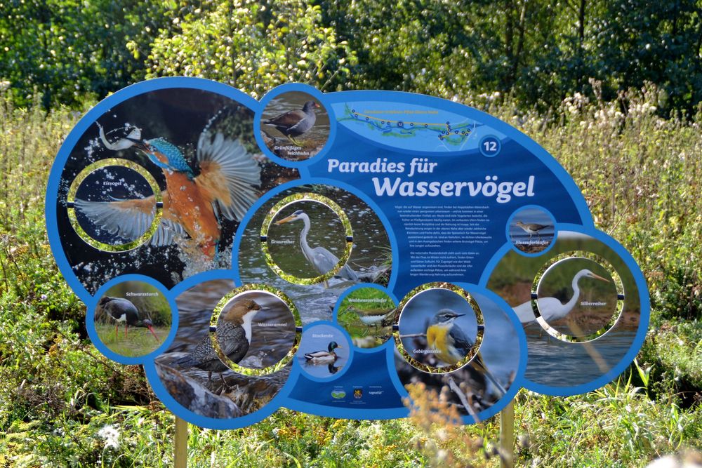 Gewässer Erlebnis Pfad Obere Nahe nc3c0y