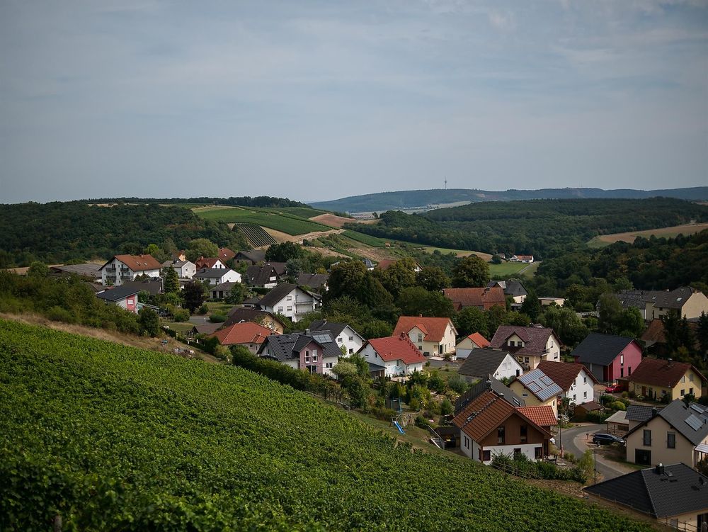 Weingut und Ferienappartement Erbacher Hof o9xixo