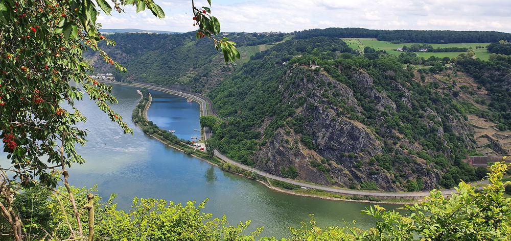 Traumschleife Mittelrhein o6trf4