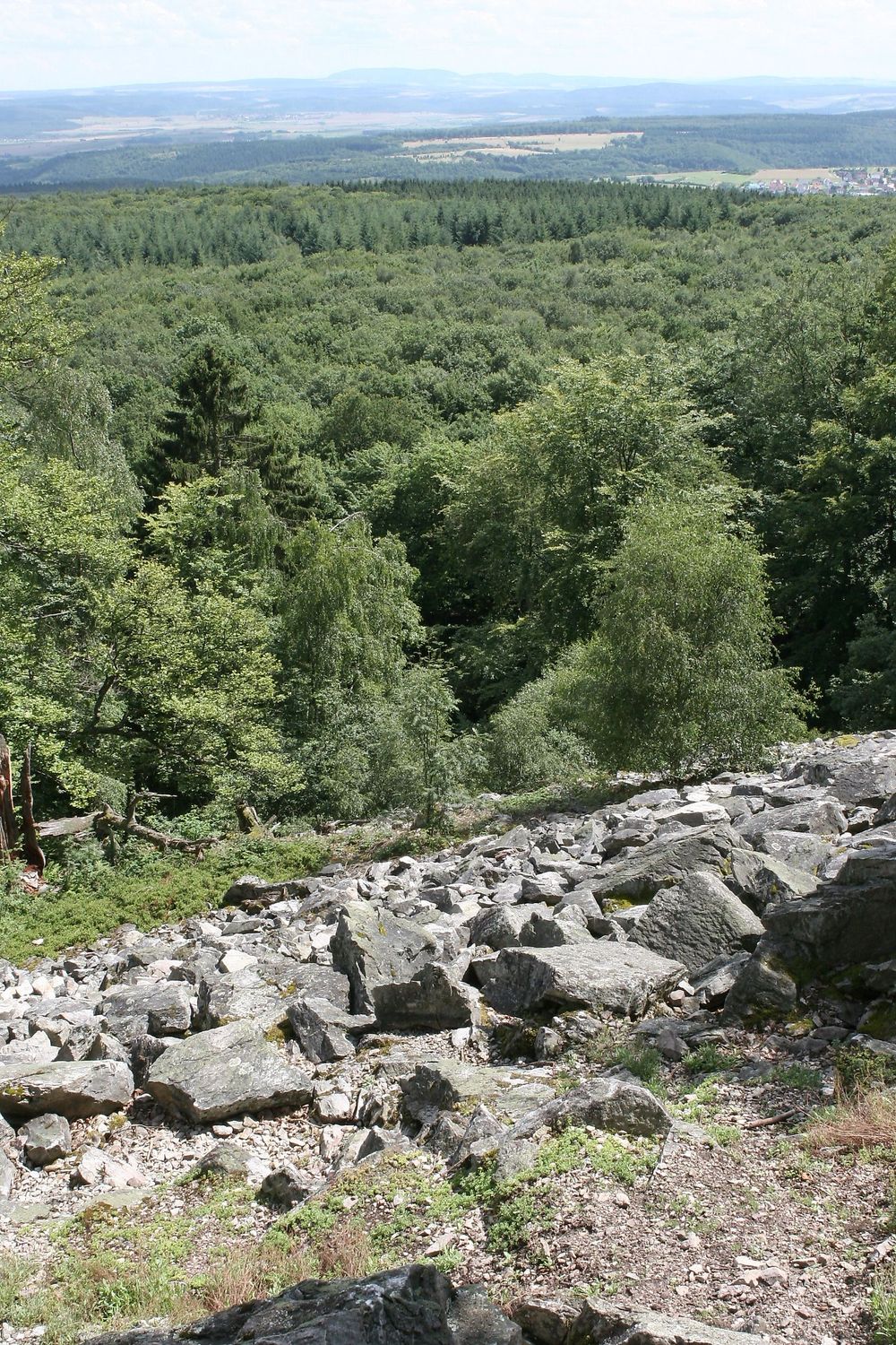 Spabrücker Weissenfelserweg mswf7g