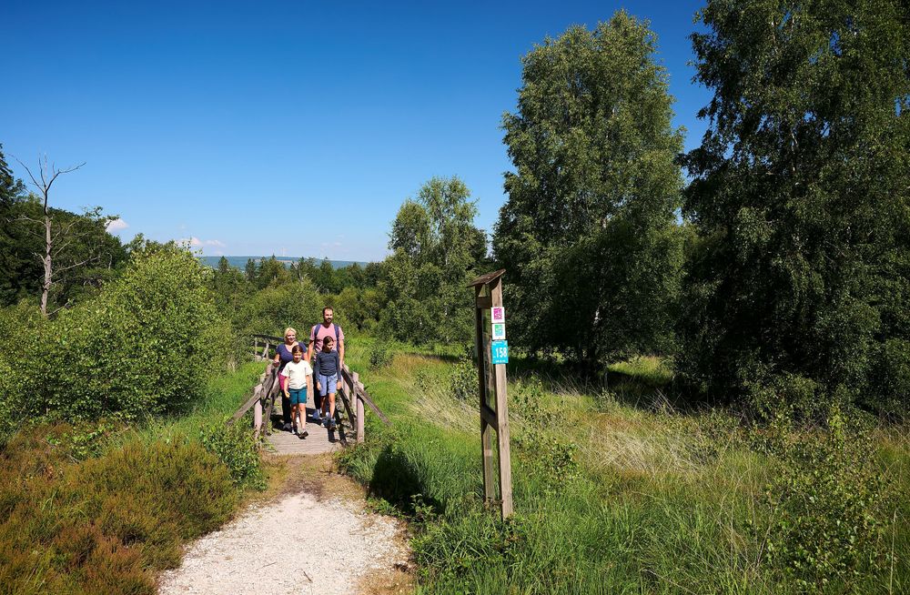 Traumschleife Ölmühlentour o72g55