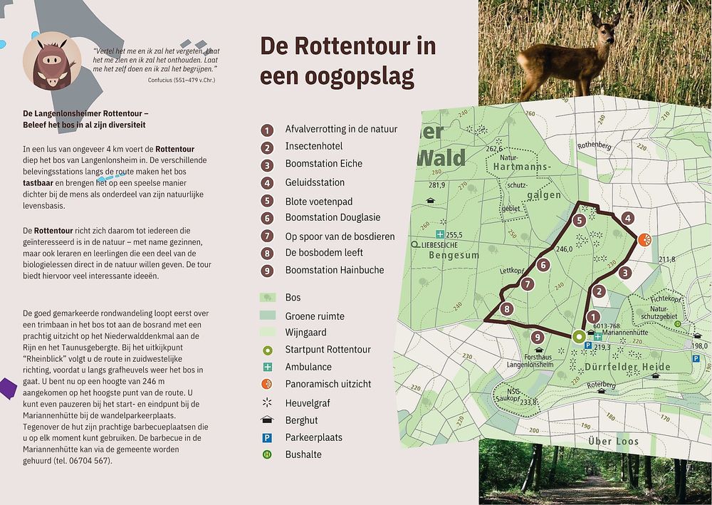Rottentour im Langenlonsheimer Wald   OFFIZIELLE WEGBESCHREIBUNG! o71zhd