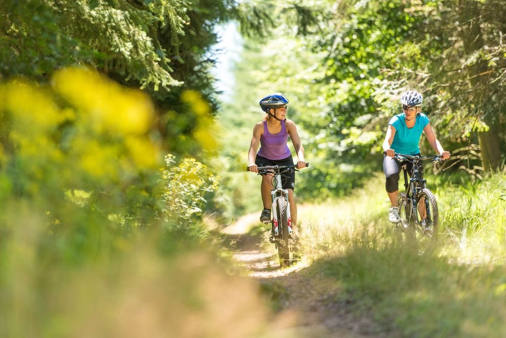 Briedeler Bummkopf Mountainbike Tour über Enkirch o4y58i