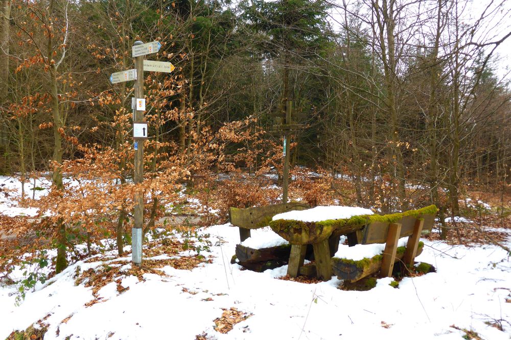 Soonwaldsteig   Zuweg Entenpfuhl 1 o4osj4
