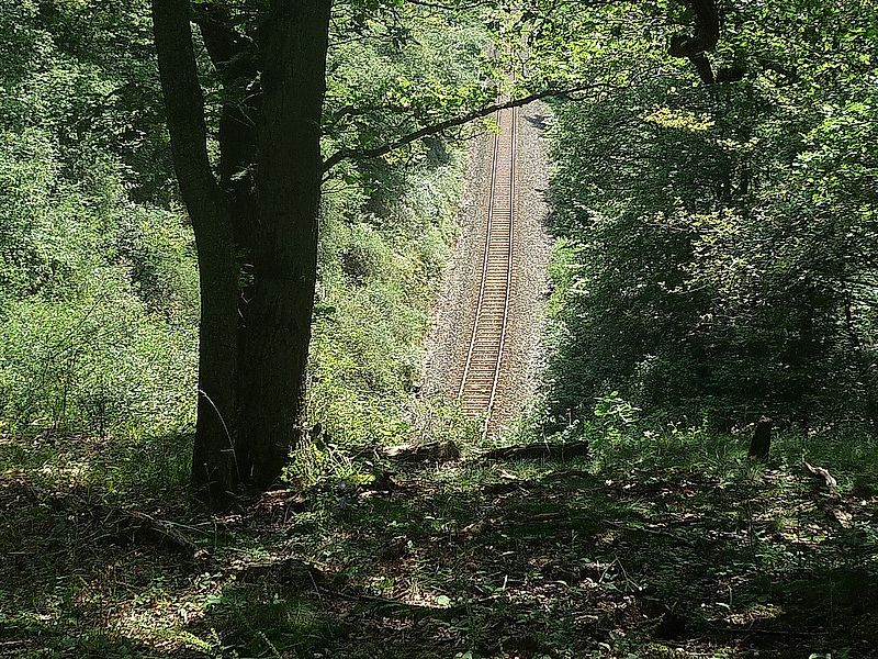 Hunsrückbahnwanderweg   kann zur Zeit wegen der Sperrung der Fussgängerbrücke in Boppard Buchholz nicht mehr begangen werden mrh9zv