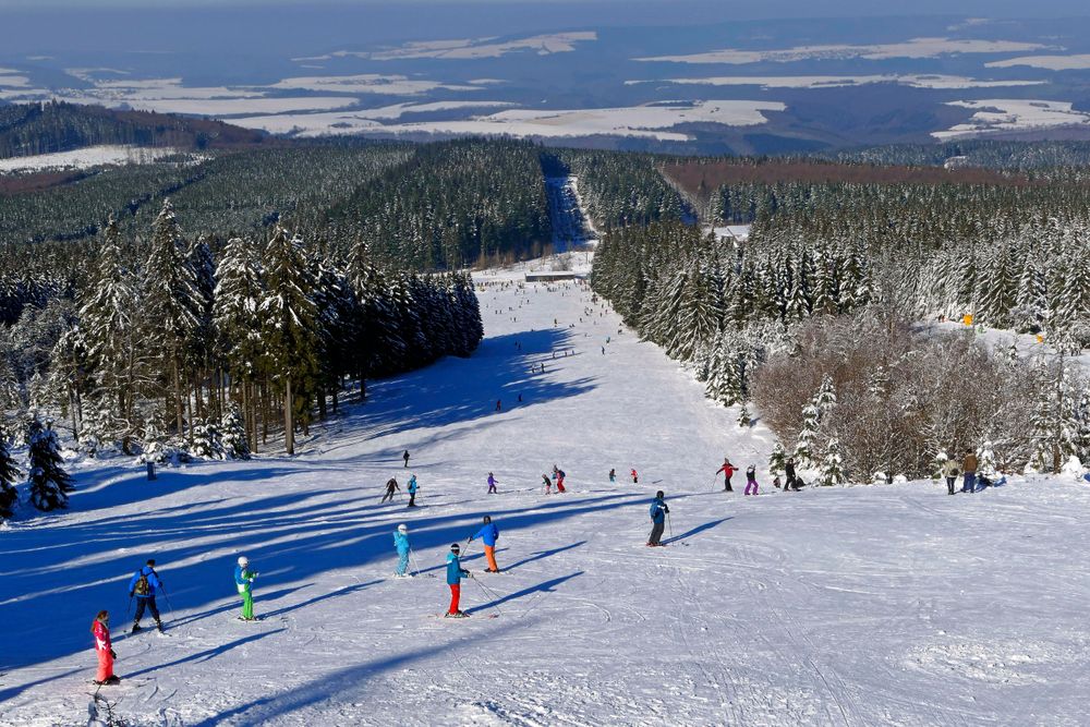 Fewo "Vogelfrei Hof No