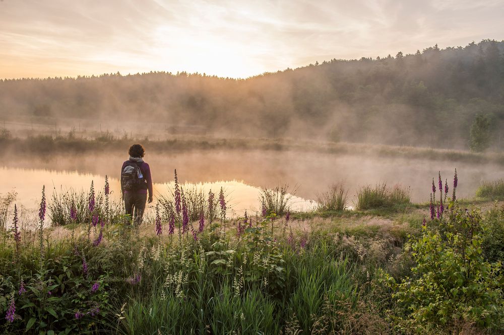 Nationalpark Traumschleife Trauntal Höhenweg o42ofx