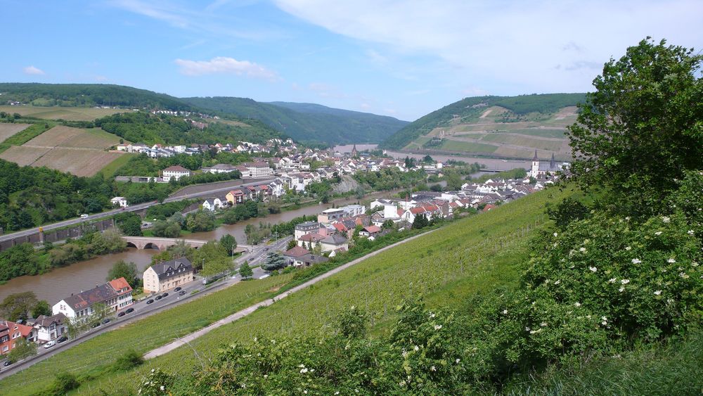 Weinwanderweg Rhein Nahe   Etappe 6: Guldental   Bingen am Rhein o0uhtg