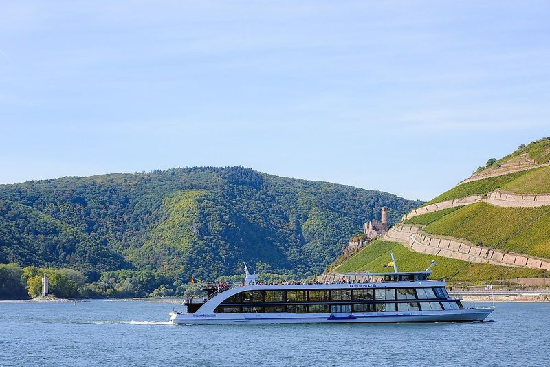 Bingen Rüdesheimer mmfs29