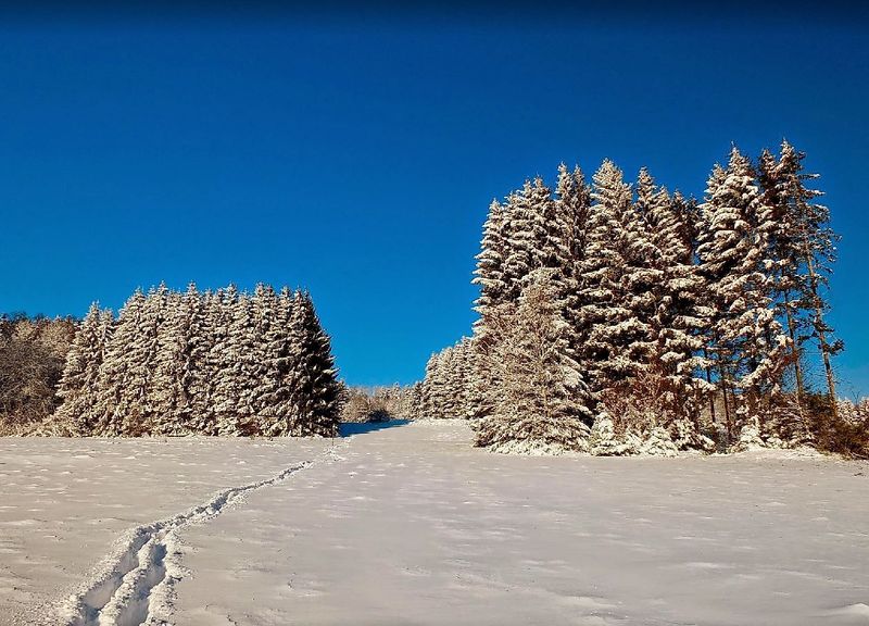 tochten/winter-wehlensteinrunde-f91f