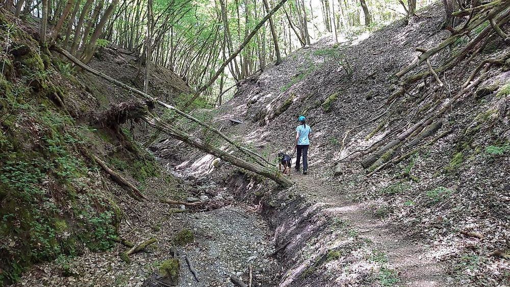 Vitaltour   Mit Krebs un Karer unerwäschs mfyrh8