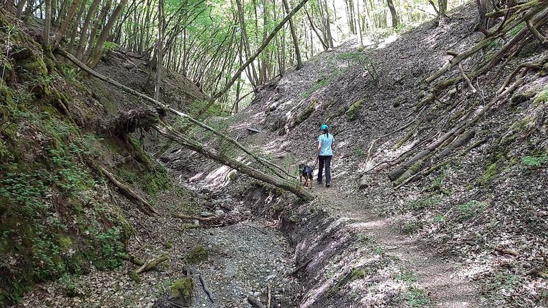 Vitaltour   Mit Krebs un Karer unerwäschs mfyrh8