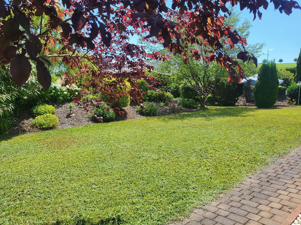 Ferienhaus Am Sonnenhang mdldsb