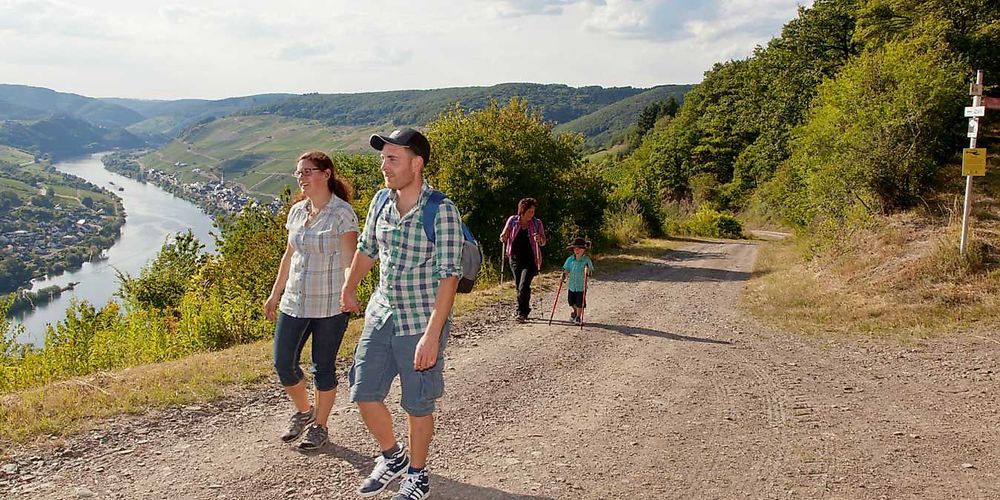 Collis Rundwanderweg Zell (Mosel) mda90t