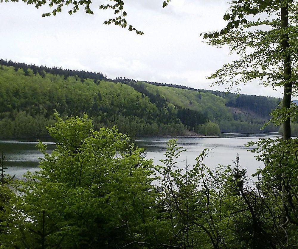Nationalparktraumschleife Hubertusrunde md3tke