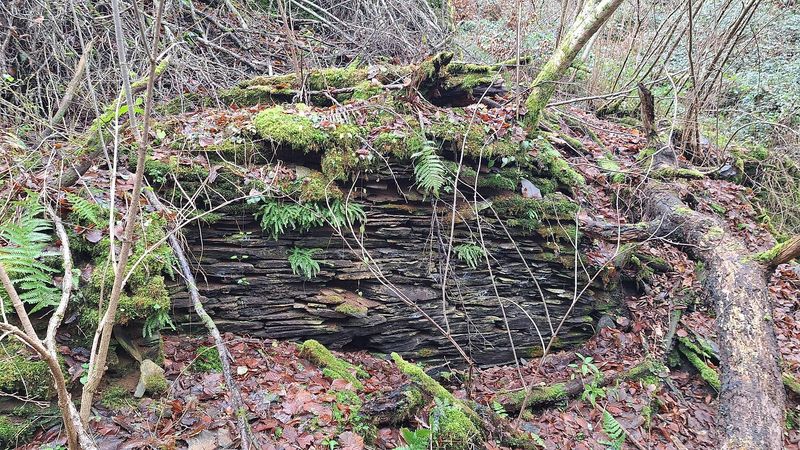 Mühlenruine an der Rauschenburg mawnek