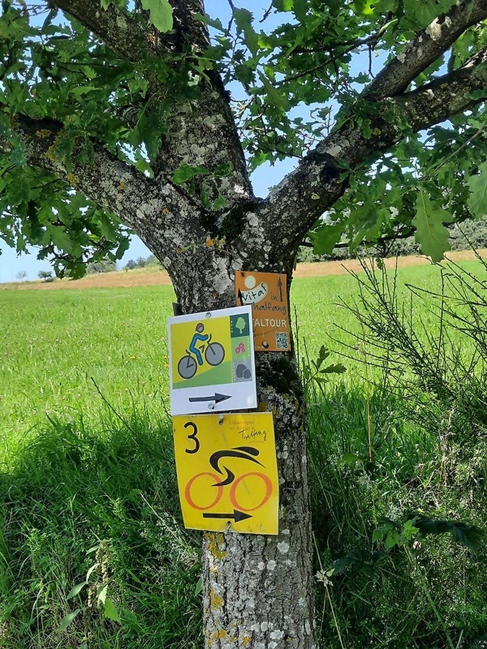 Mountainbike Route 3 maidng