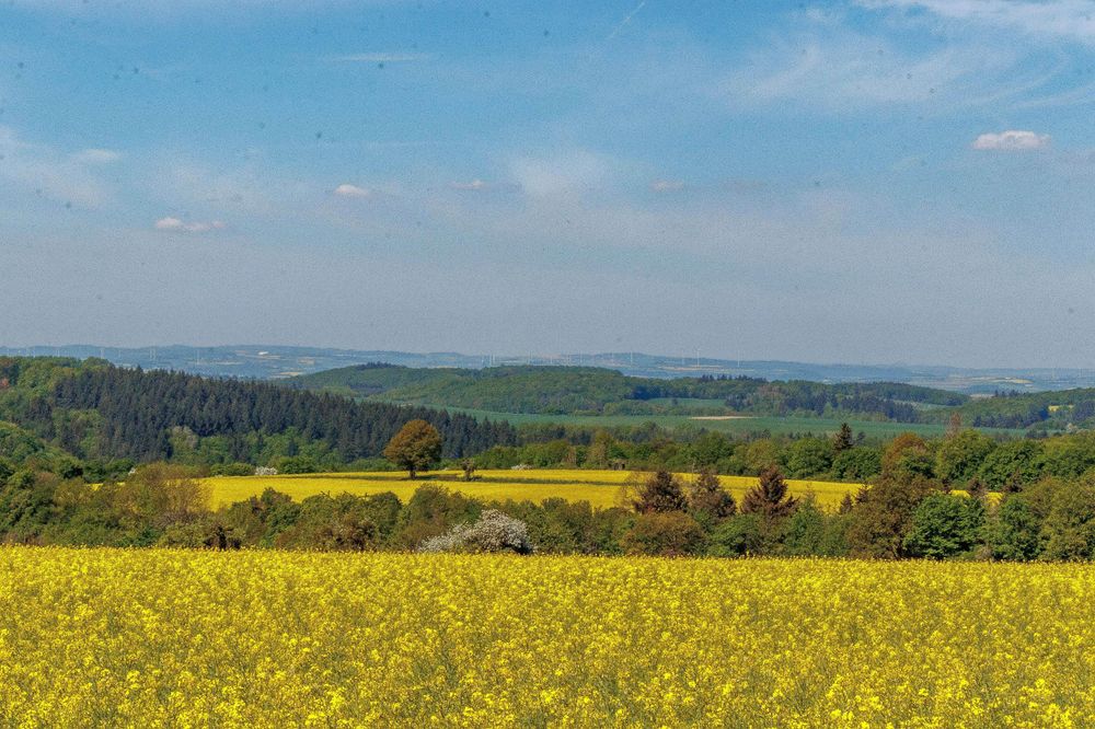 Landhaus SoonZauber ly2gg1