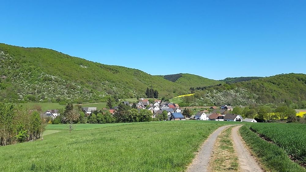 Vitaltour   Mit Krebs un Karer unerwäschs lwaygn