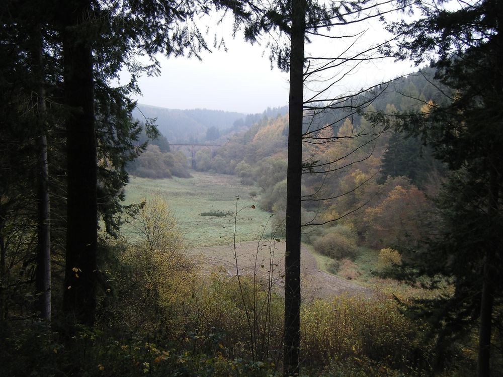 Traumschleife "Königsfeldschleife" luj9qs