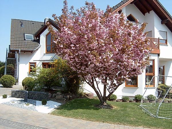 Ferienwohnung mit Herz lv7wfd