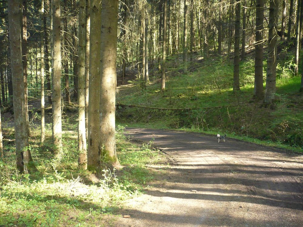 "Odels Uwe" Wanderweg Kronweiler lsxque