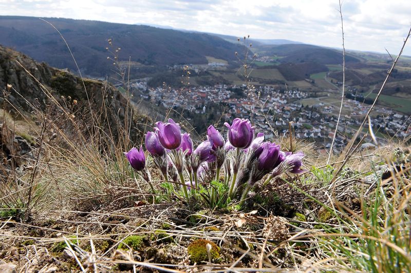 3x3Salinental: VitalTour Rotenfels lu9hqt