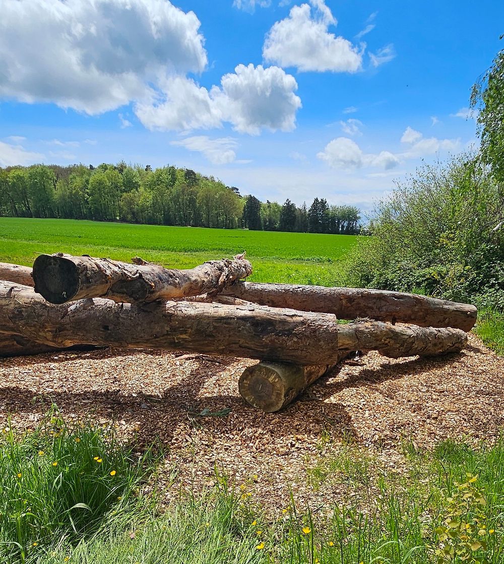 Traumschleifchen Junge Wald lrl1fn
