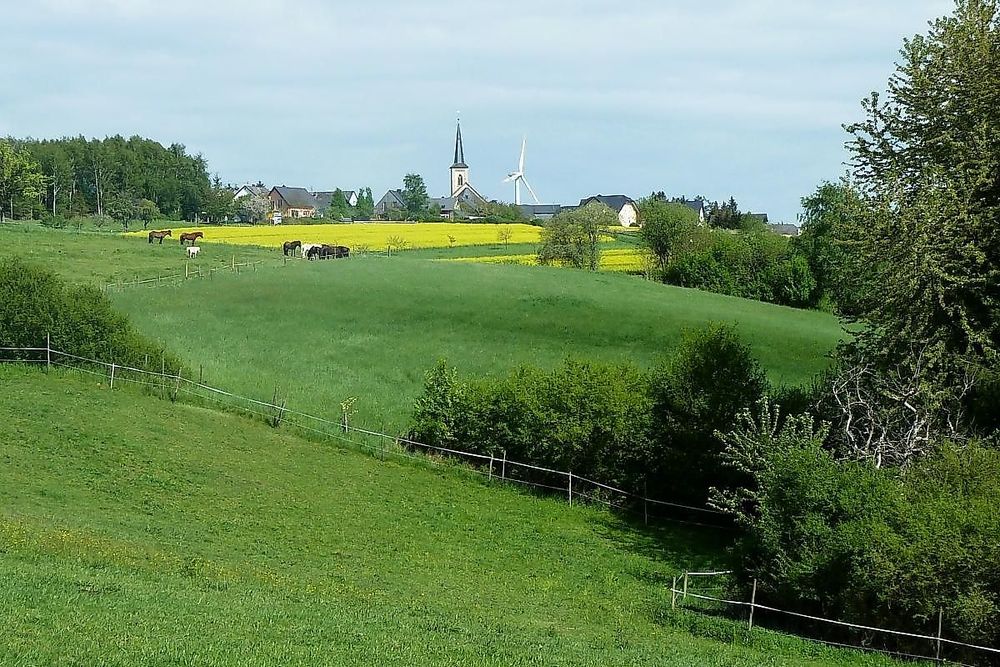 Traumschleife "ARTEN REICH" lqk1sn
