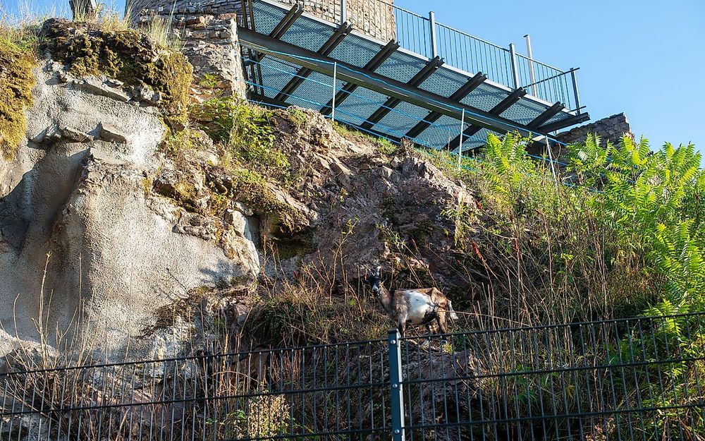 Traumschleife Bärenpfad lr9hkb