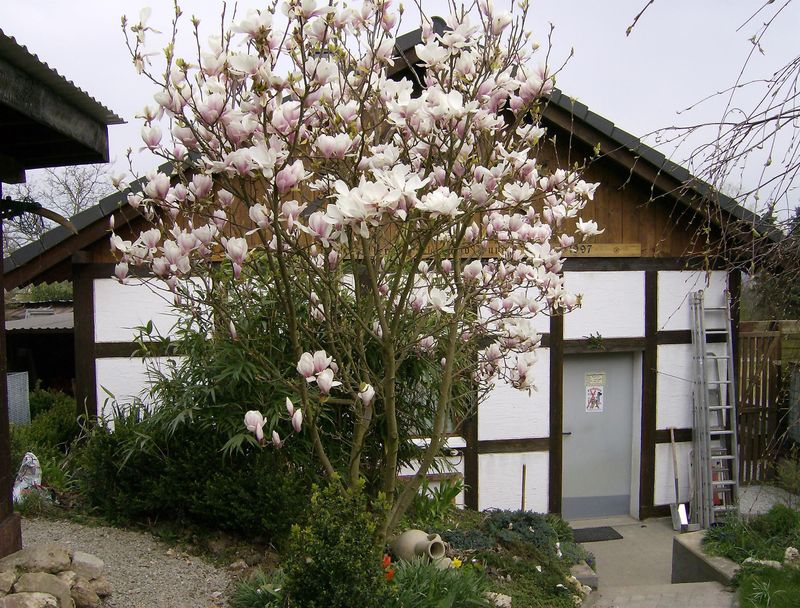 pois/intarsienmuseum-097a