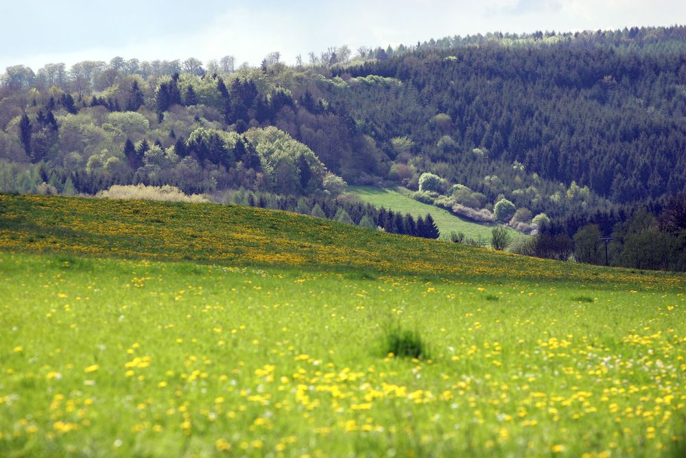Traumschleife Domblick lq57gc