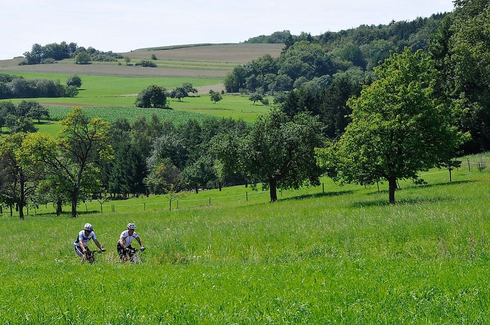 MTB 4 Profi Tour lq2y2q