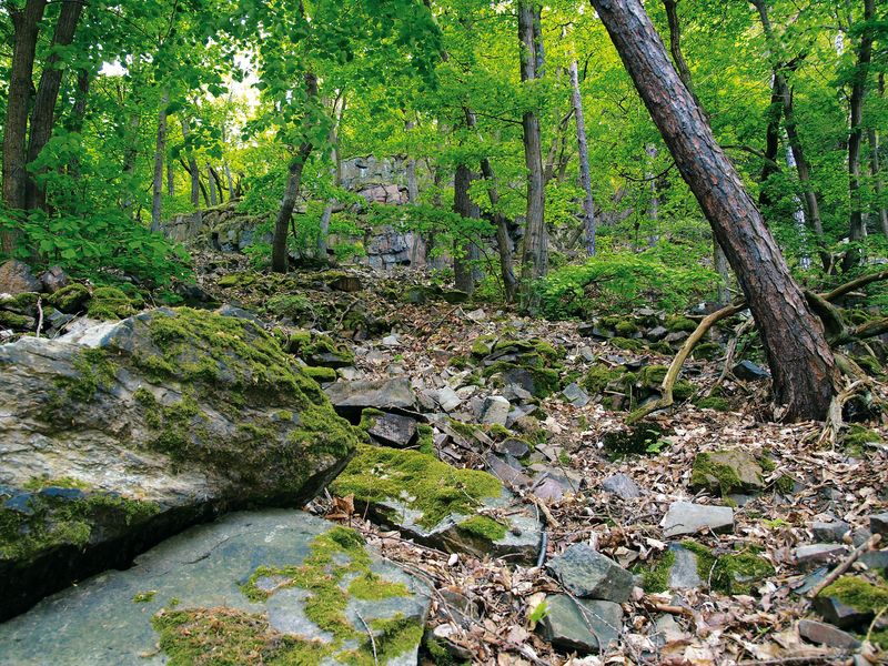 Hochsteinchen Tour lomghr
