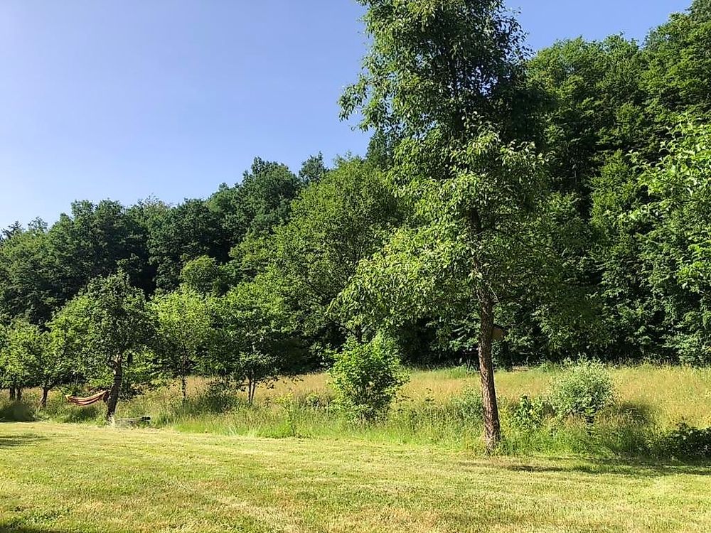 Schwollbachhof   Naturerlebnis im Hunsrück lokal2
