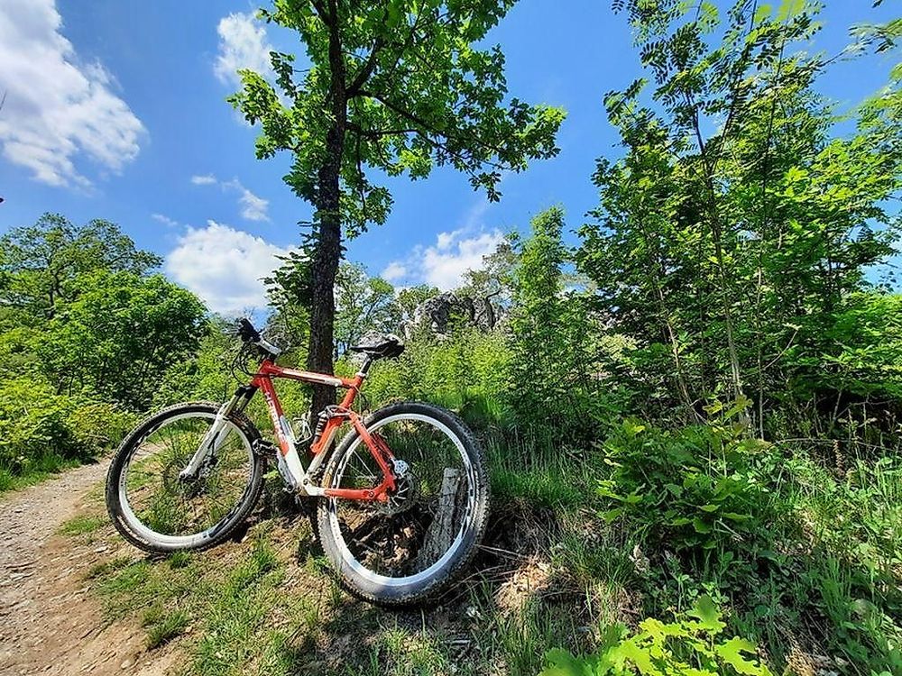 Mountainbike Route 2 lnqrti