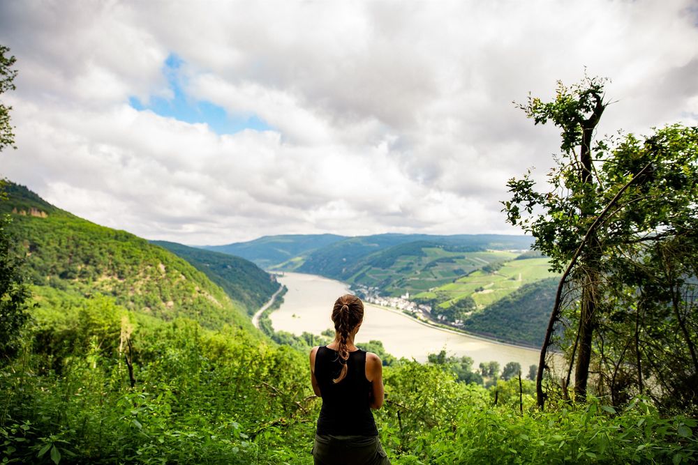 Rheinburgenweg Etappe Bingen Bacharach lp31b5