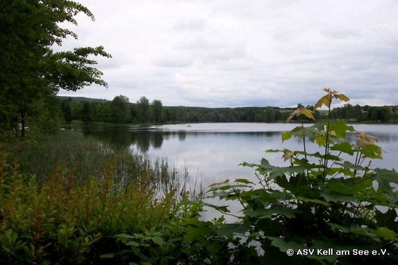 Angeln in Kell am See llnj70