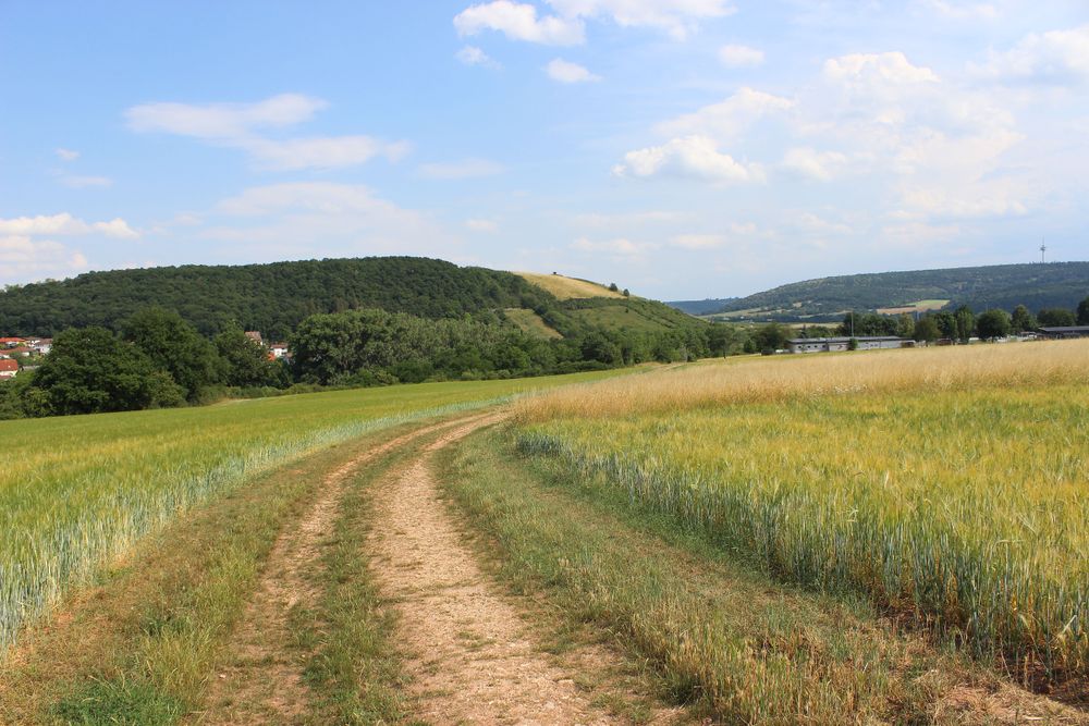 Rundtour Straußberg Wingertwanderweg in Hargesheim livkvx