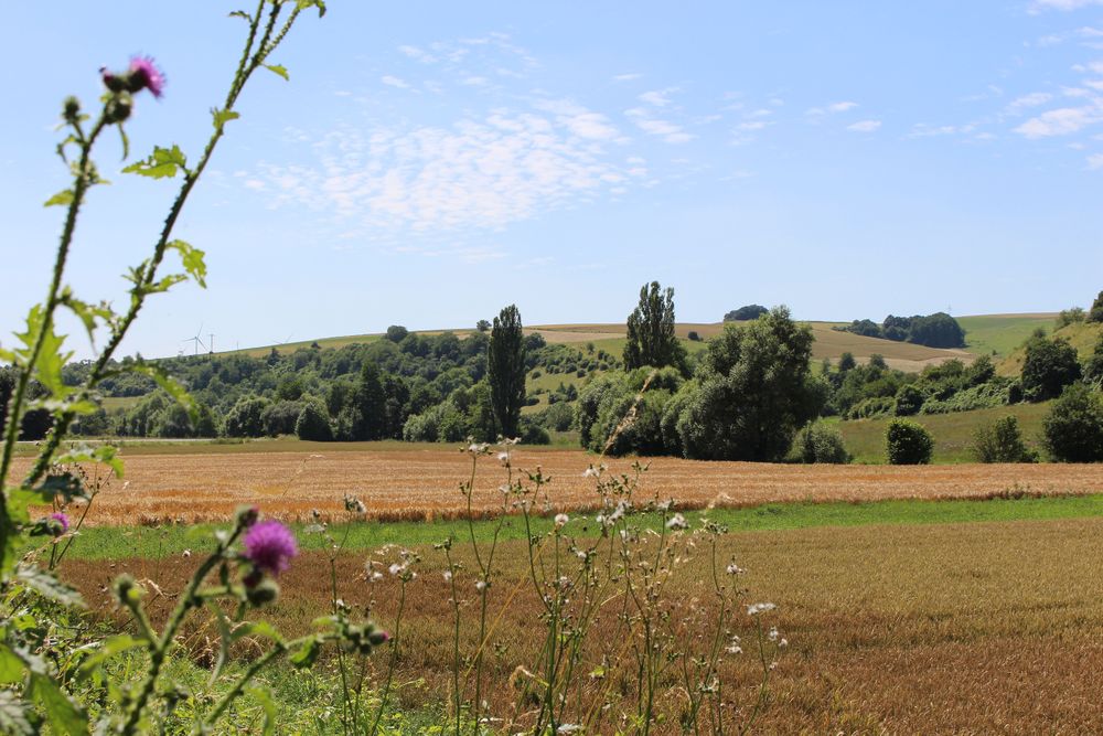 Appelbach Radweg lhkdp4